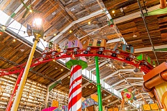 Американские горки PANORAMIC MONORAIL & COASTER