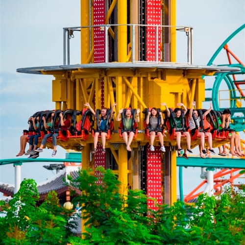 Drop Towers