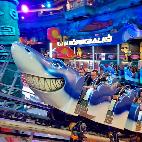 Thrill Coasters