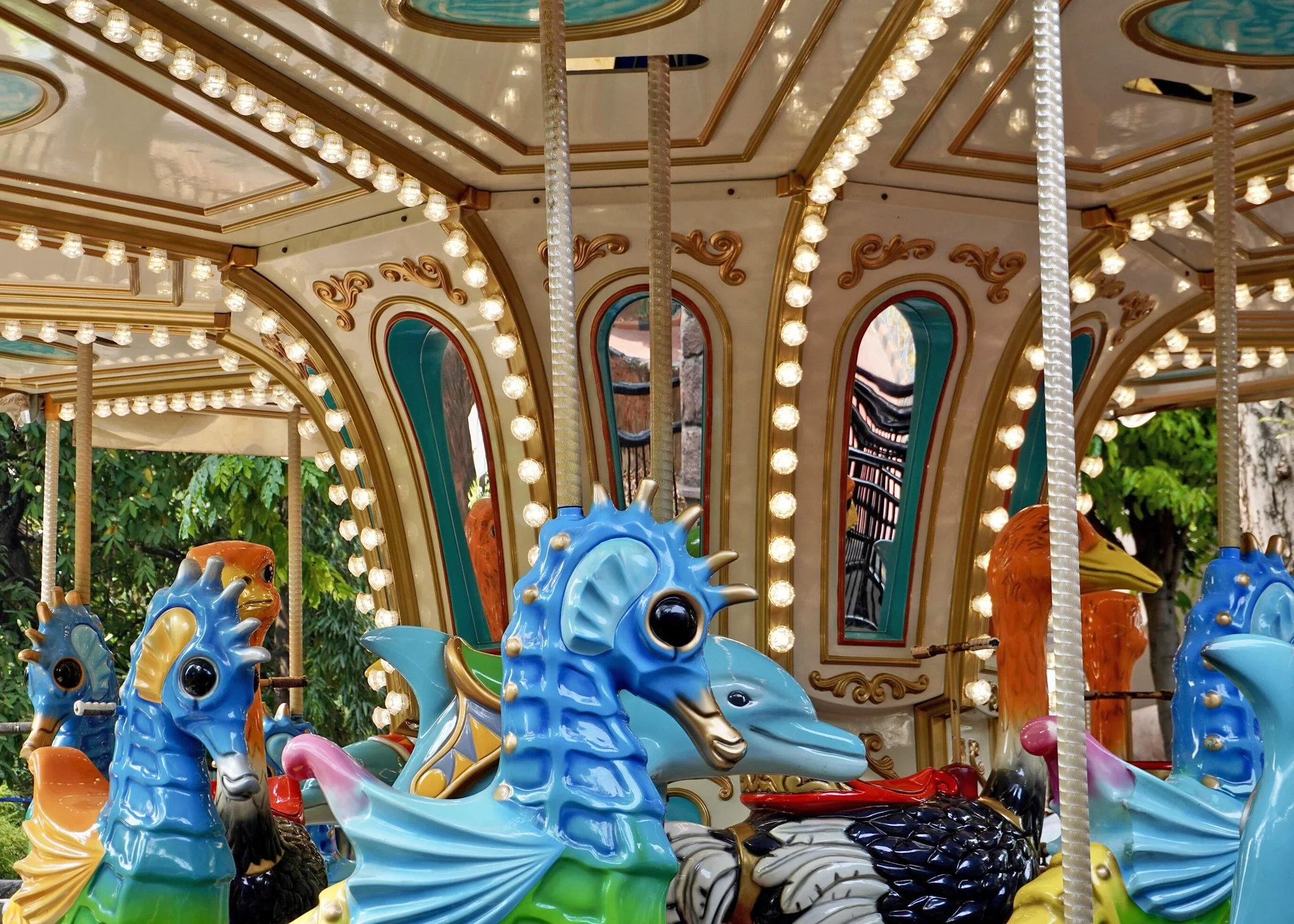 carousel 7 meters