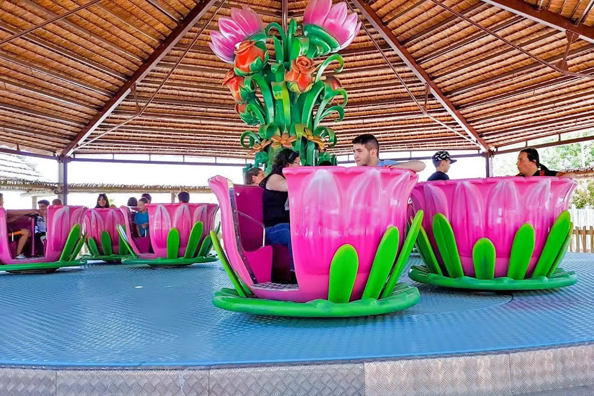 Dancing Cups