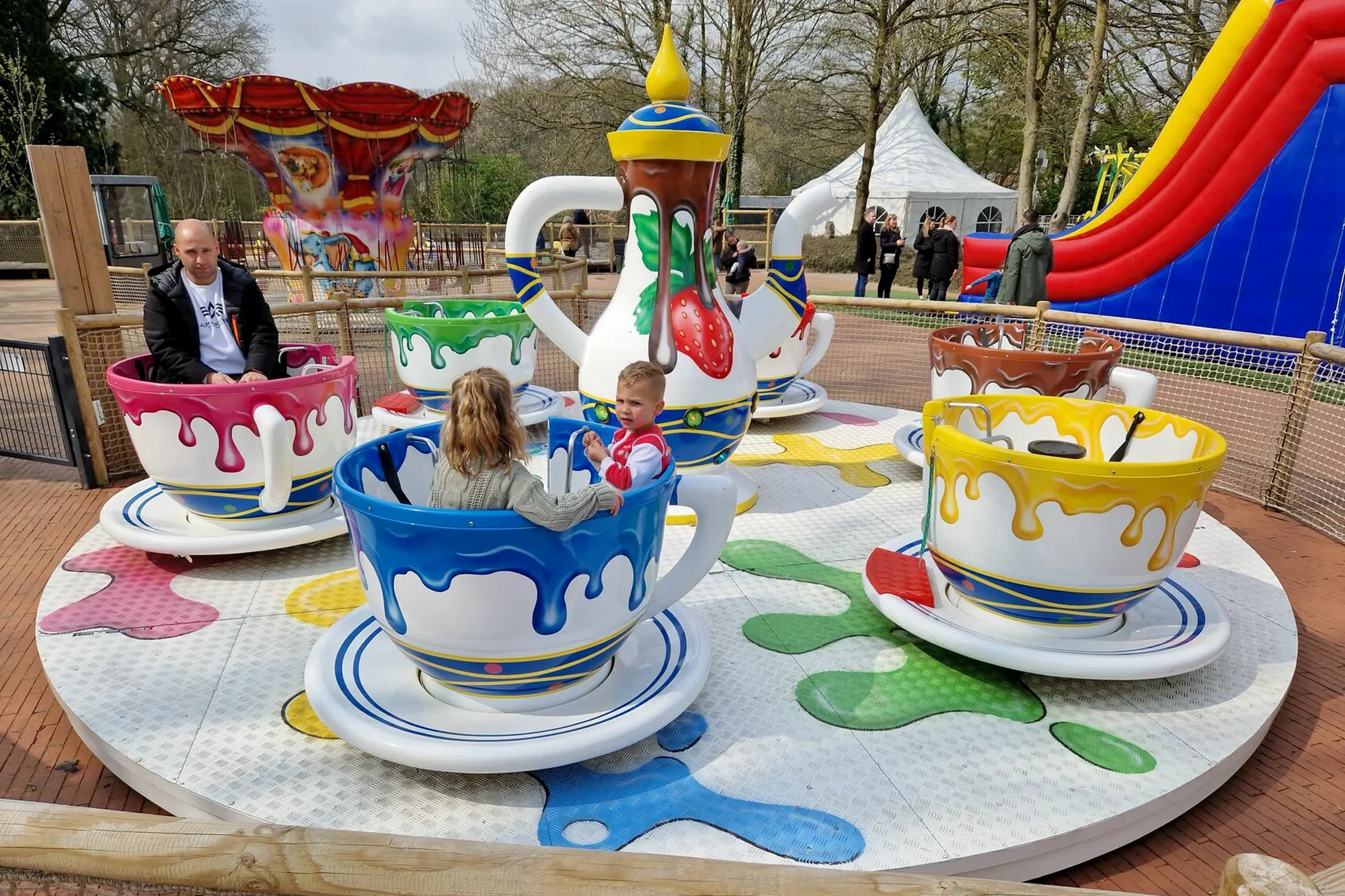 Tea Cups