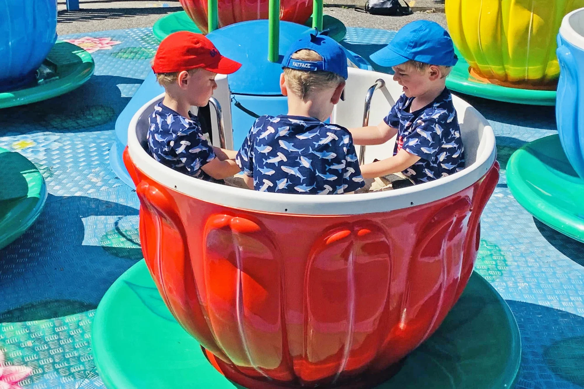 Tea Cups