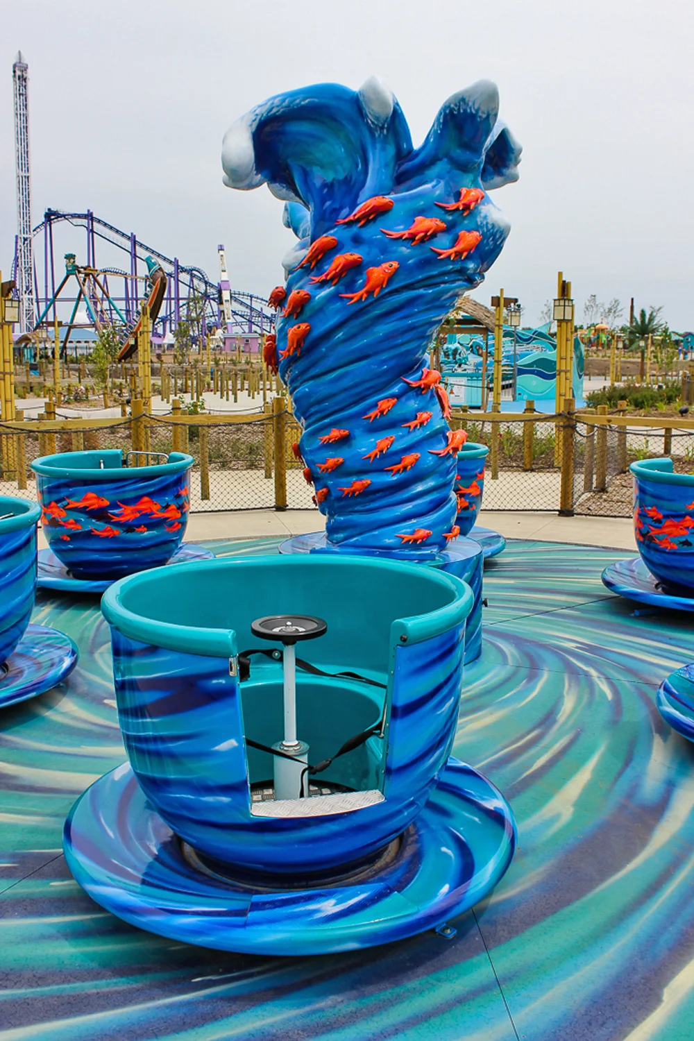 Tea Cups