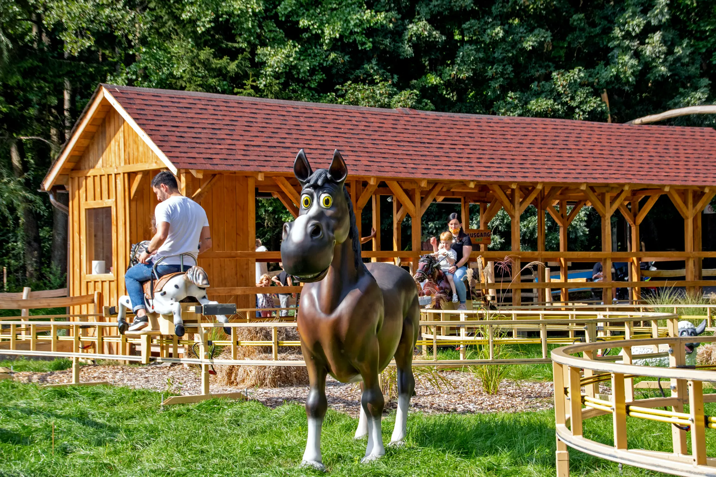 pony adventure