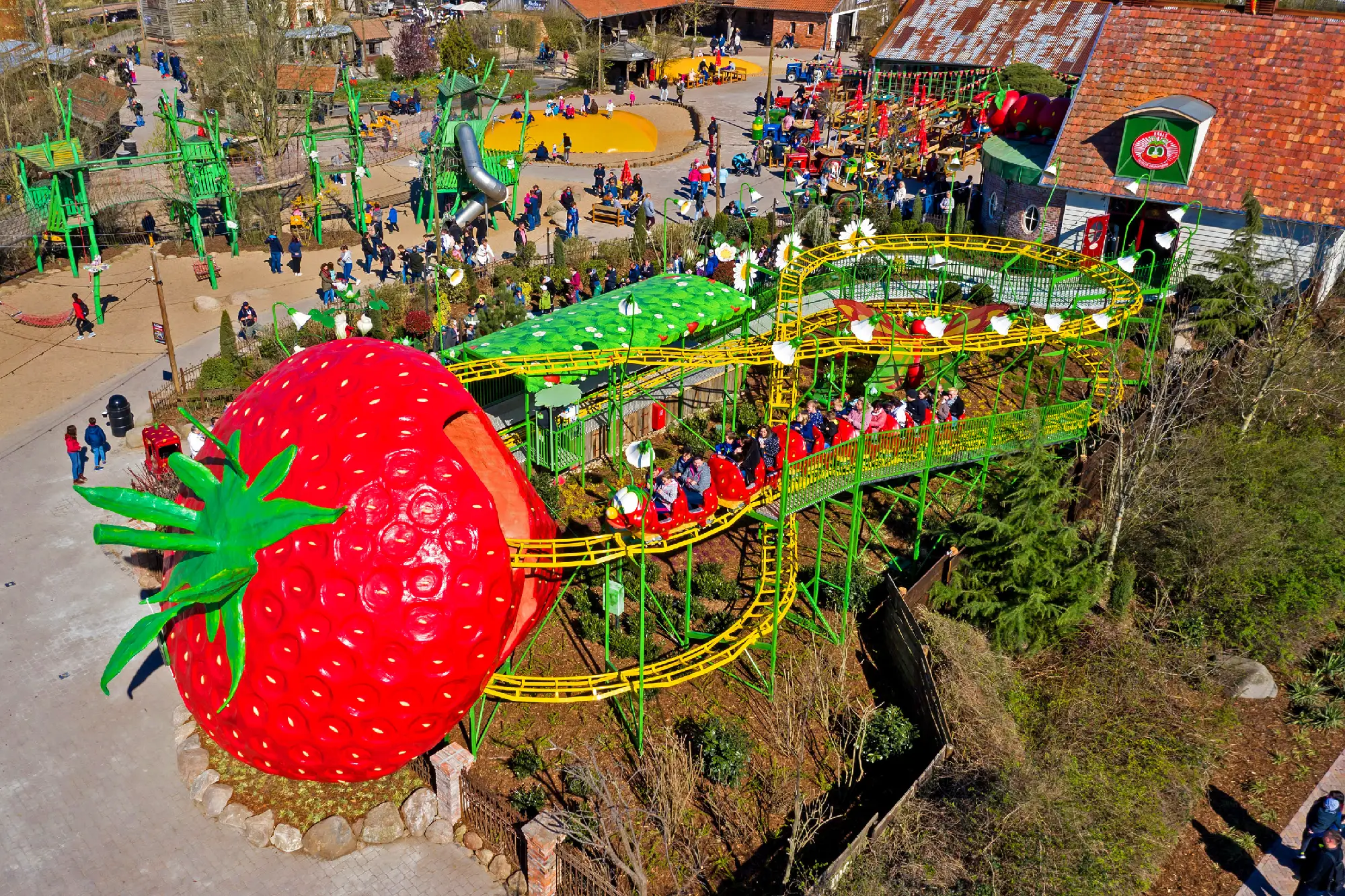Family Coaster